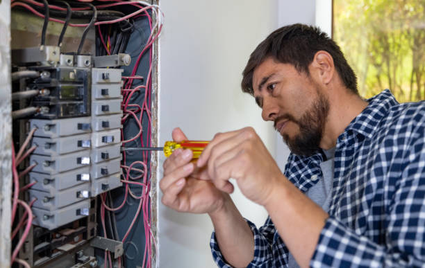 Best Ceiling Fan Installation Electrician  in Rogersville, TN
